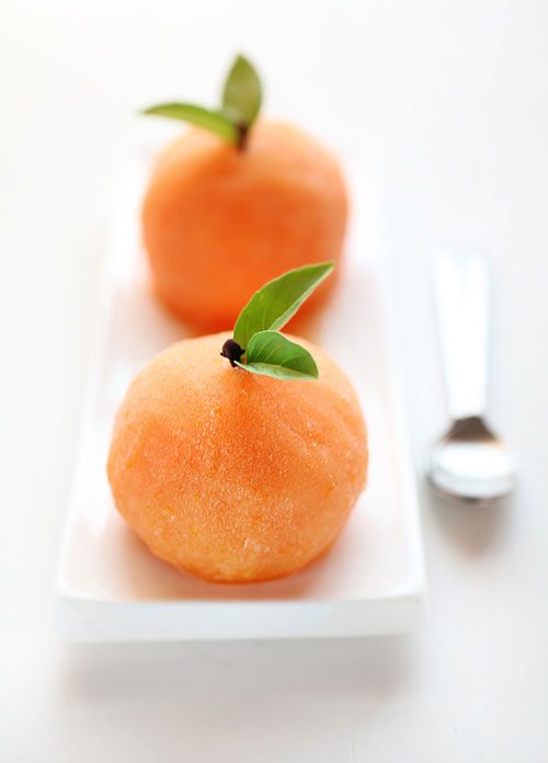 Campari Citrus Sorbet