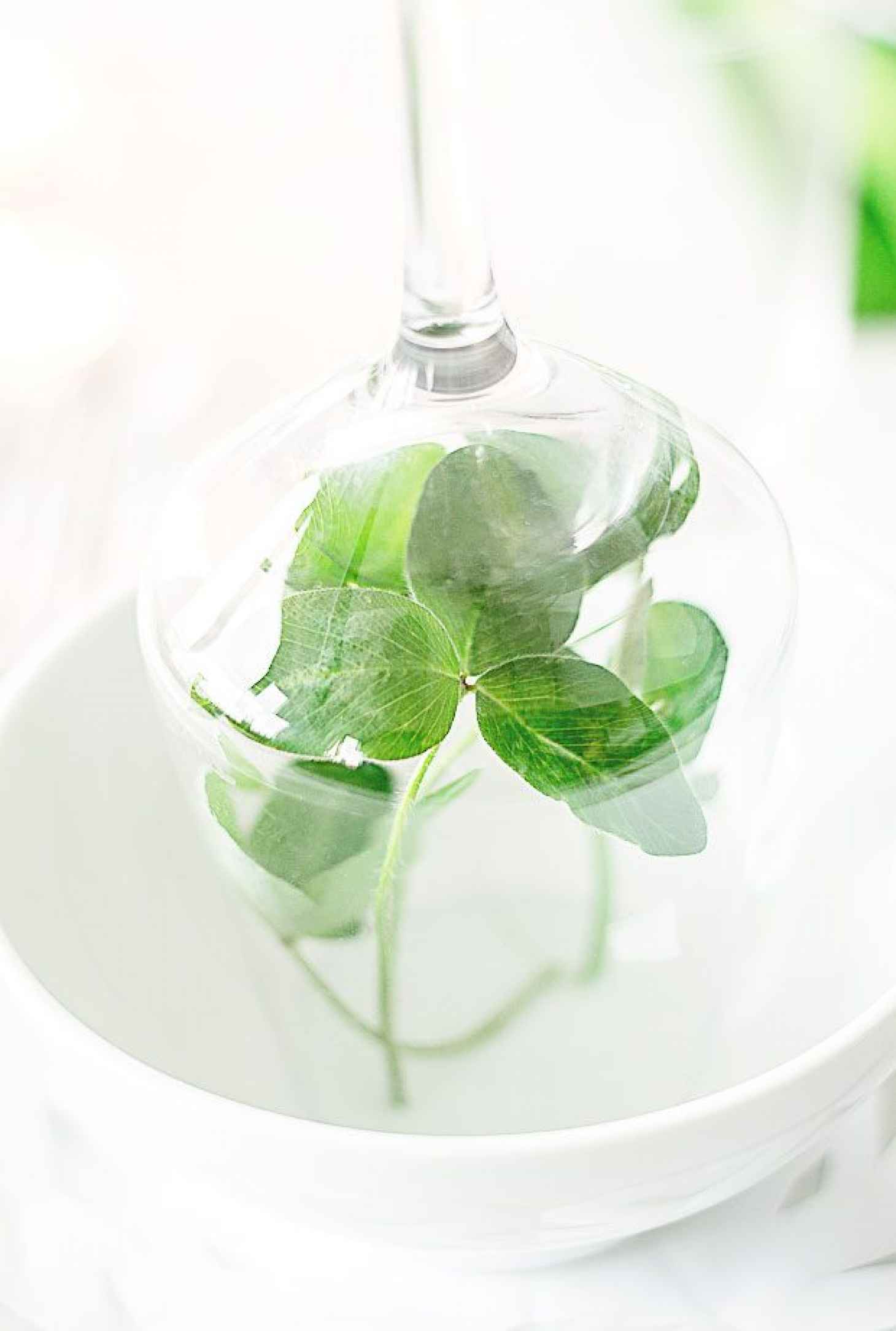 Last Minute DIY Idea to Decorate your Table for St. Patrick’s Day - #recipe by #eatwell101 - https://www.eatwell101.com/st-patricks-day-table-setting-ideas