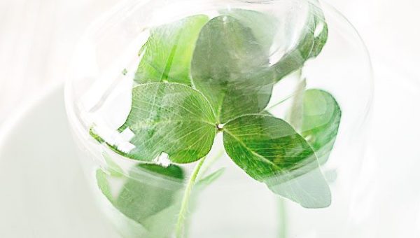 Last Minute DIY Idea to Decorate your Table for St. Patrick’s Day - #recipe by #eatwell101 - https://www.eatwell101.com/st-patricks-day-table-setting-ideas