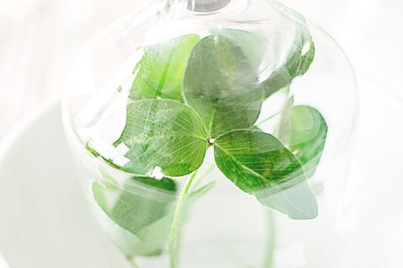 Last Minute DIY Idea to Decorate your Table for St. Patrick’s Day - #recipe by #eatwell101 - https://www.eatwell101.com/st-patricks-day-table-setting-ideas