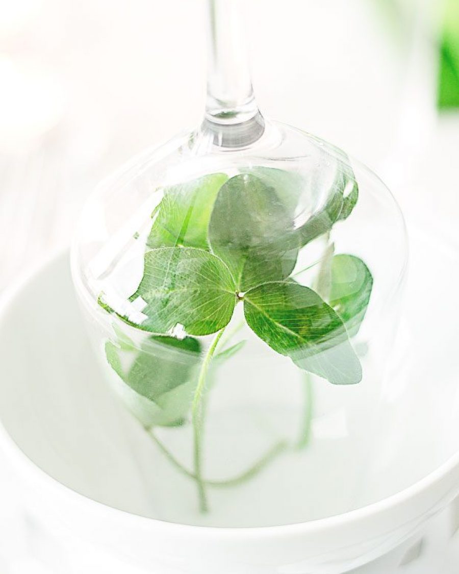 Last Minute DIY Idea to Decorate your Table for St. Patrick’s Day - #recipe by #eatwell101 - https://www.eatwell101.com/st-patricks-day-table-setting-ideas