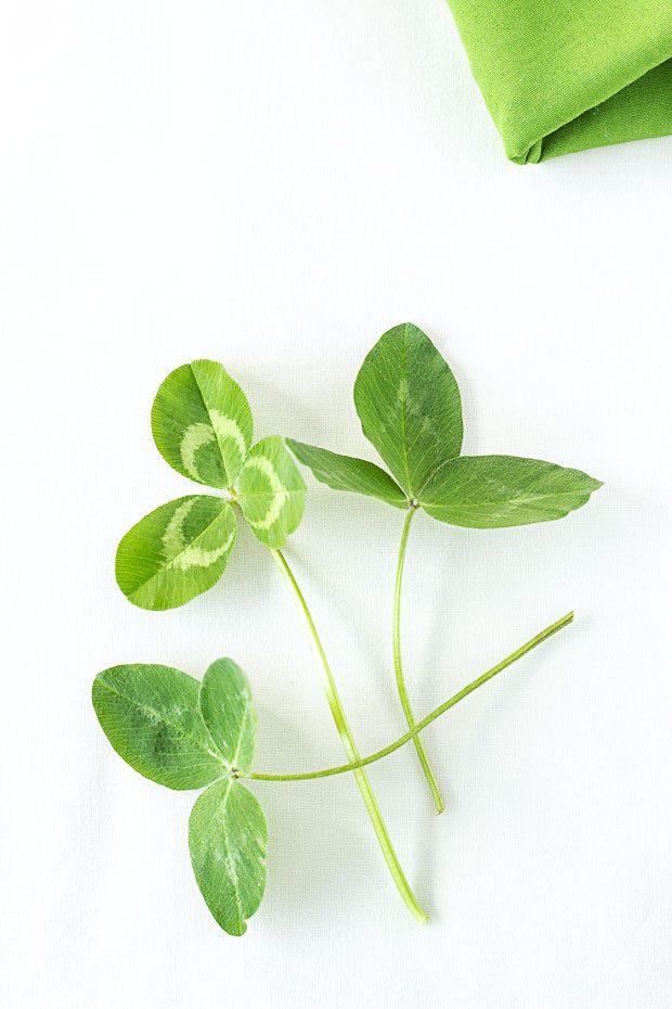 St.-Patrick's-Day-Place-setting-inspiration