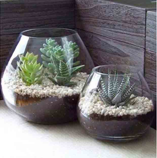 Bowl-Candleholders--Air-Plant-Terrariums