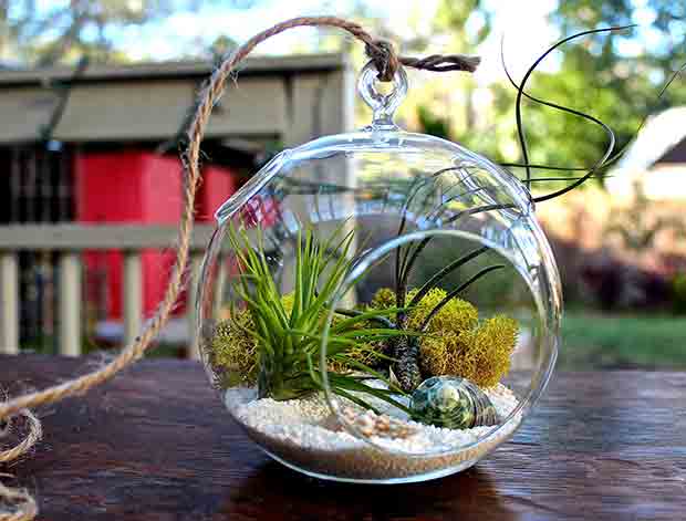 Stylish Terrarium Finds for Bring Nature Inside