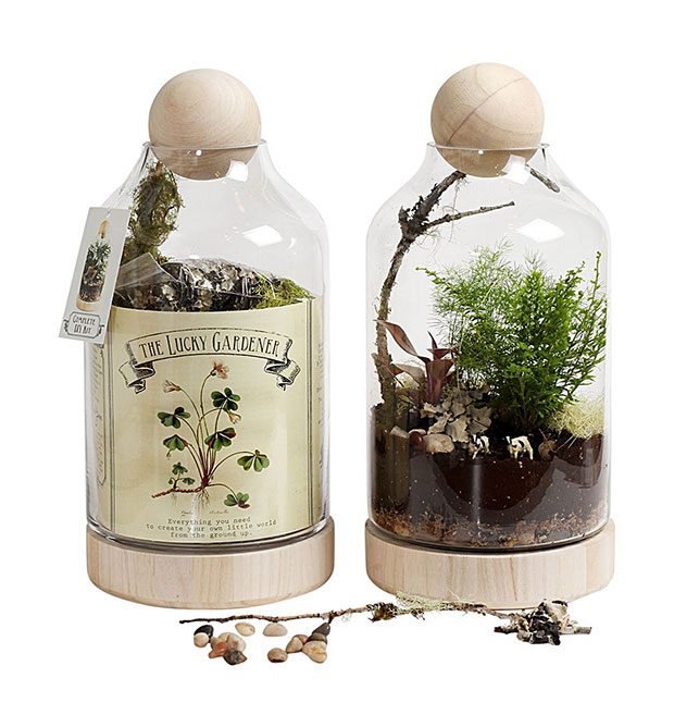 Terrariums-Lucky-Gardener-Terrarium-Kit