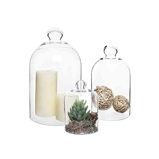 best-Plant-Terrarium-Centerpiece-Dome-Display