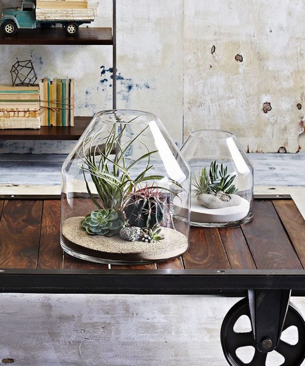 12 Stylish Terrariums to Bring Nature Inside