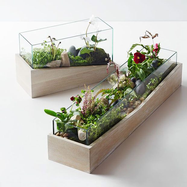 best-angled-wood-terrariums