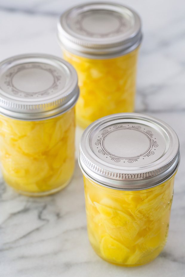 Recipes for Fermented