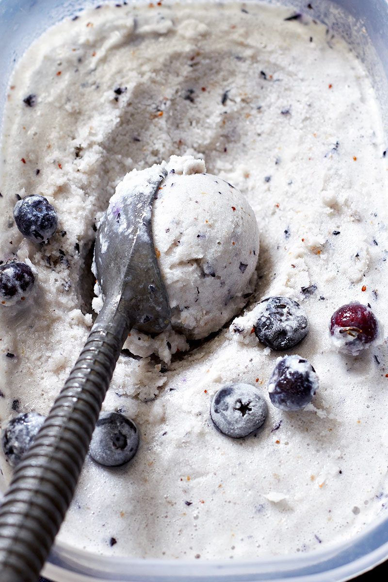 Blueberry Coconut Ice Cream