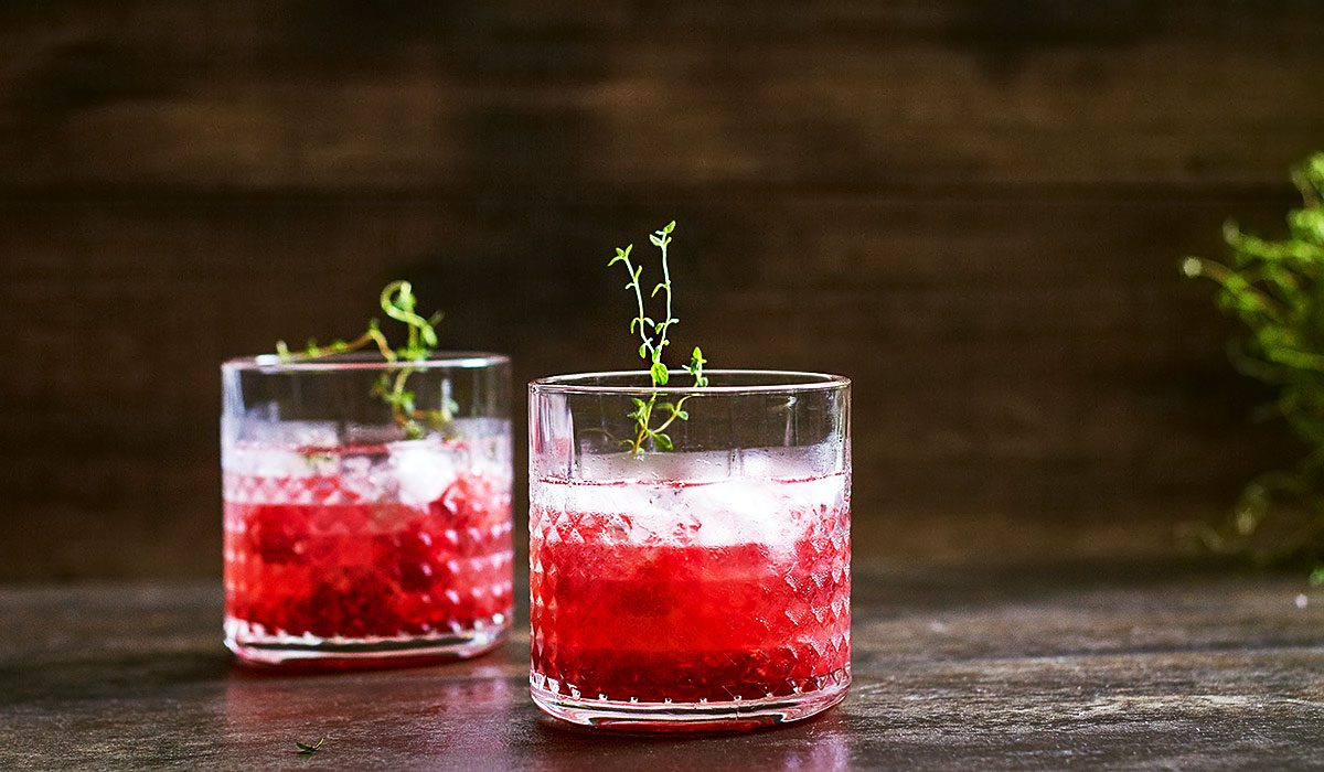 Raspberry Gin Fizz