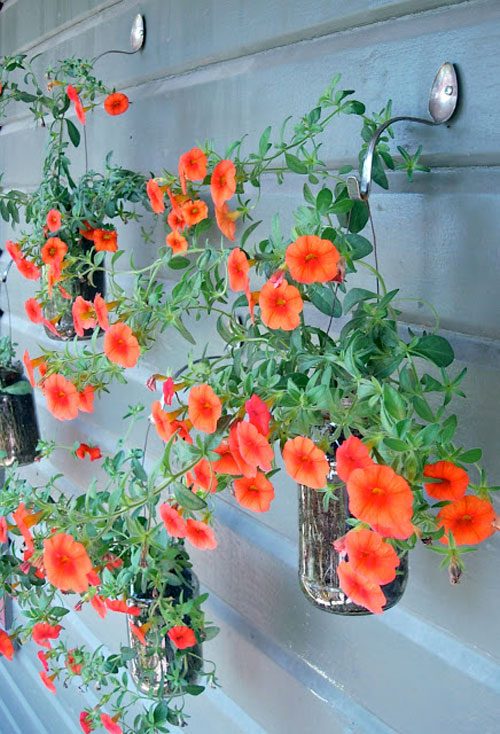 Hanging Jars & Spoon Hangers