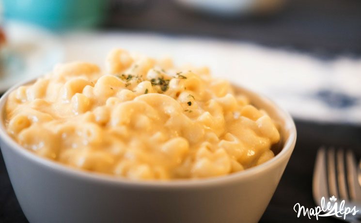 Creamy & Dreamy Macaroni And