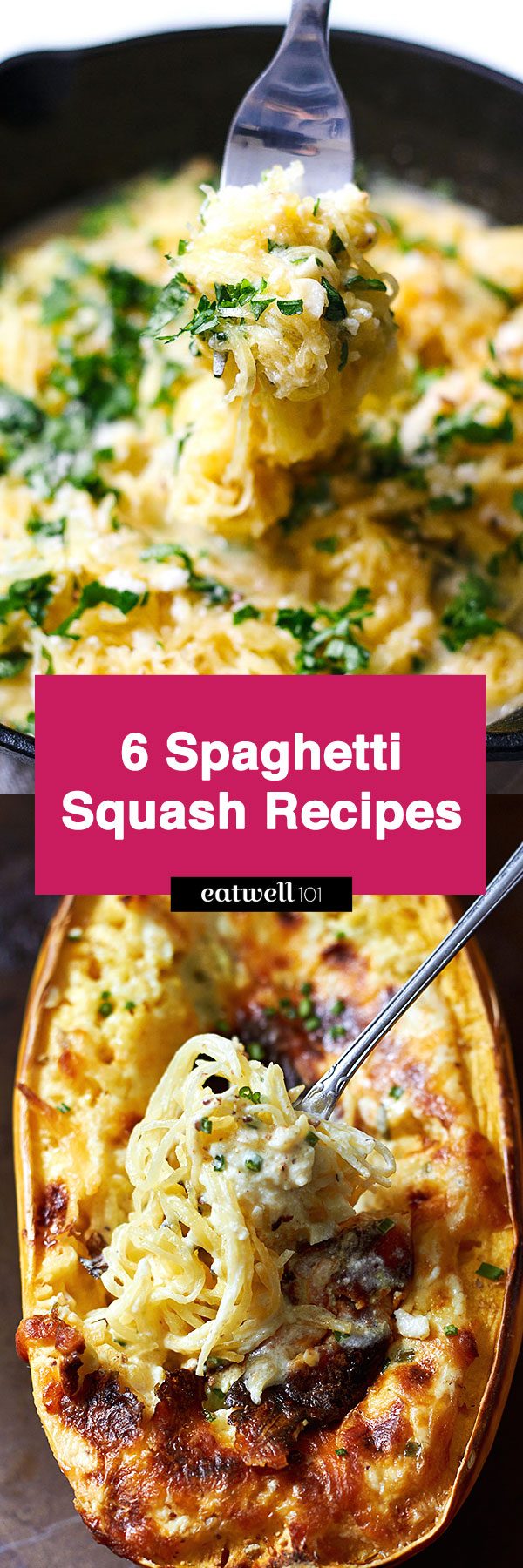 Spaghetti Squash Recipes — Looking for a healthy side or an easy weeknight dinner packed with vegetables? Try one of our easy spaghetti squash recipes, they will make you feel right at home!