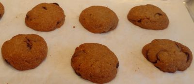 Chocolate Chip Cookies {Low Carb, Keto, Paleo}