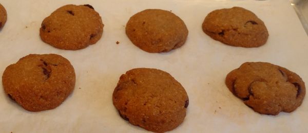 Chocolate Chip Cookies {Low Carb, Keto, Paleo}