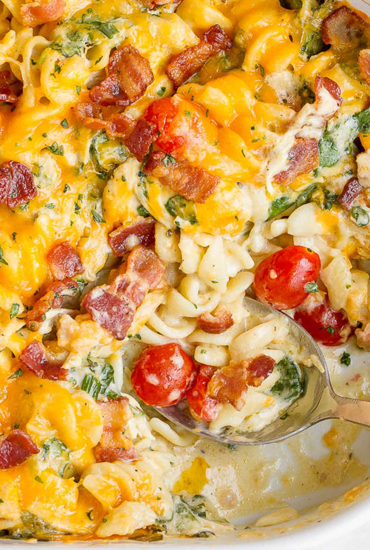 Kid Friendly Casseroles: 11 Casseroles Recipes That Are 100% Kid