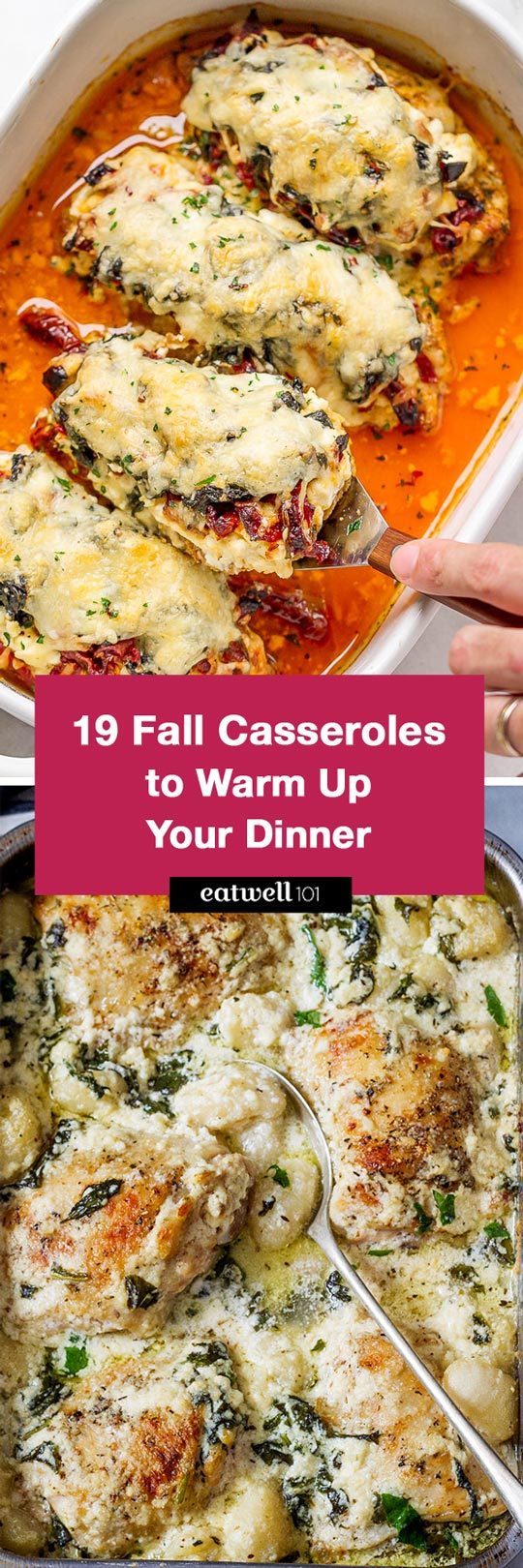 Fall Casserole Recipes: Choose from these fall casserole recipes to warm up your dinner. 