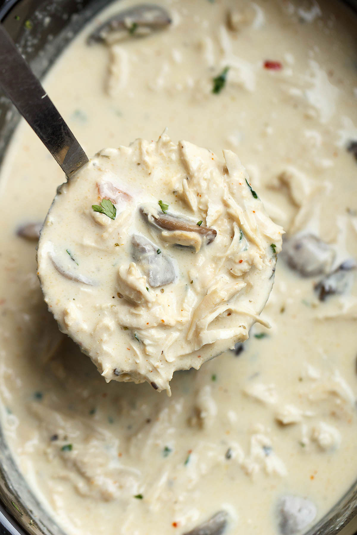 Slow Cooker Leftovers Turkey Cream Cheese Soup - Rich and velvety, you'll enjoy every spoonful of this hearty turkey cream cheese soup!