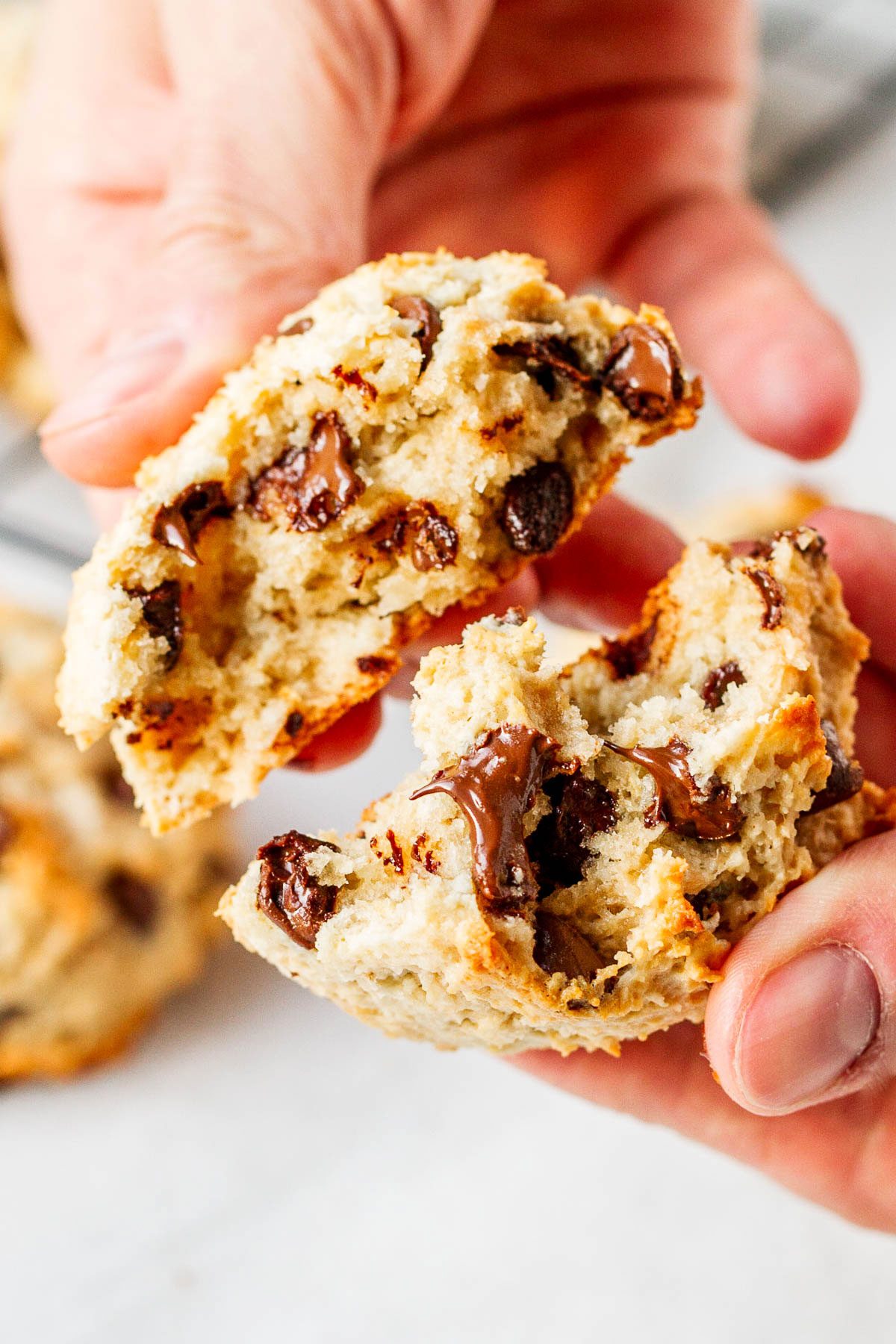 Chewy Chocolate Oatmeal Cookies - Nutritious, tasty and super easy to make. These oatmeal cookies make a perfect grab-and-go breakfast for busy mornings!