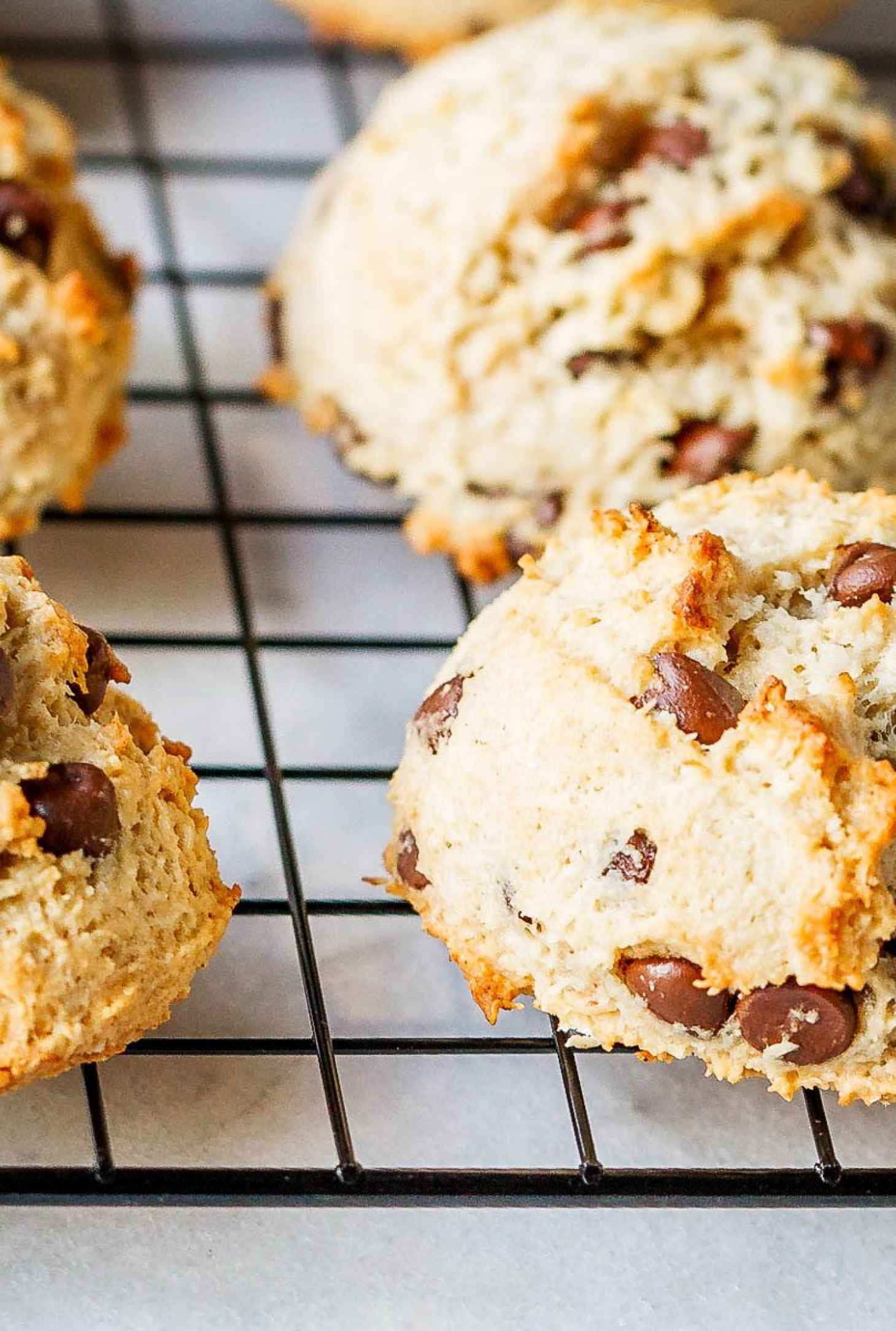 Chewy Chocolate Oatmeal Cookies Recipe - #recipe by #eatwell101 - https://www.eatwell101.com/chewy-oatmeal-cookies