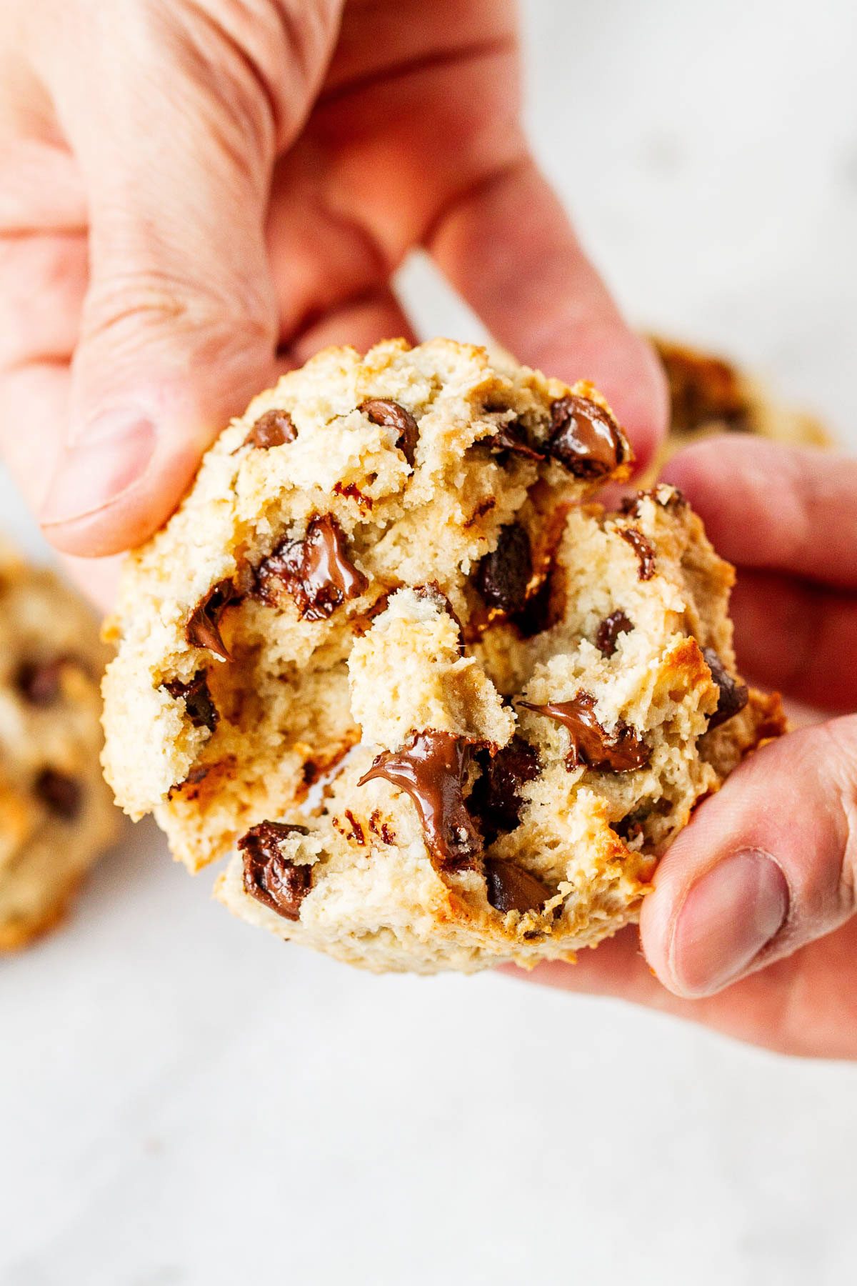 Chewy Chocolate Oatmeal Cookies - Nutritious, tasty and super easy to make. These oatmeal cookies make a perfect grab-and-go breakfast for busy mornings!