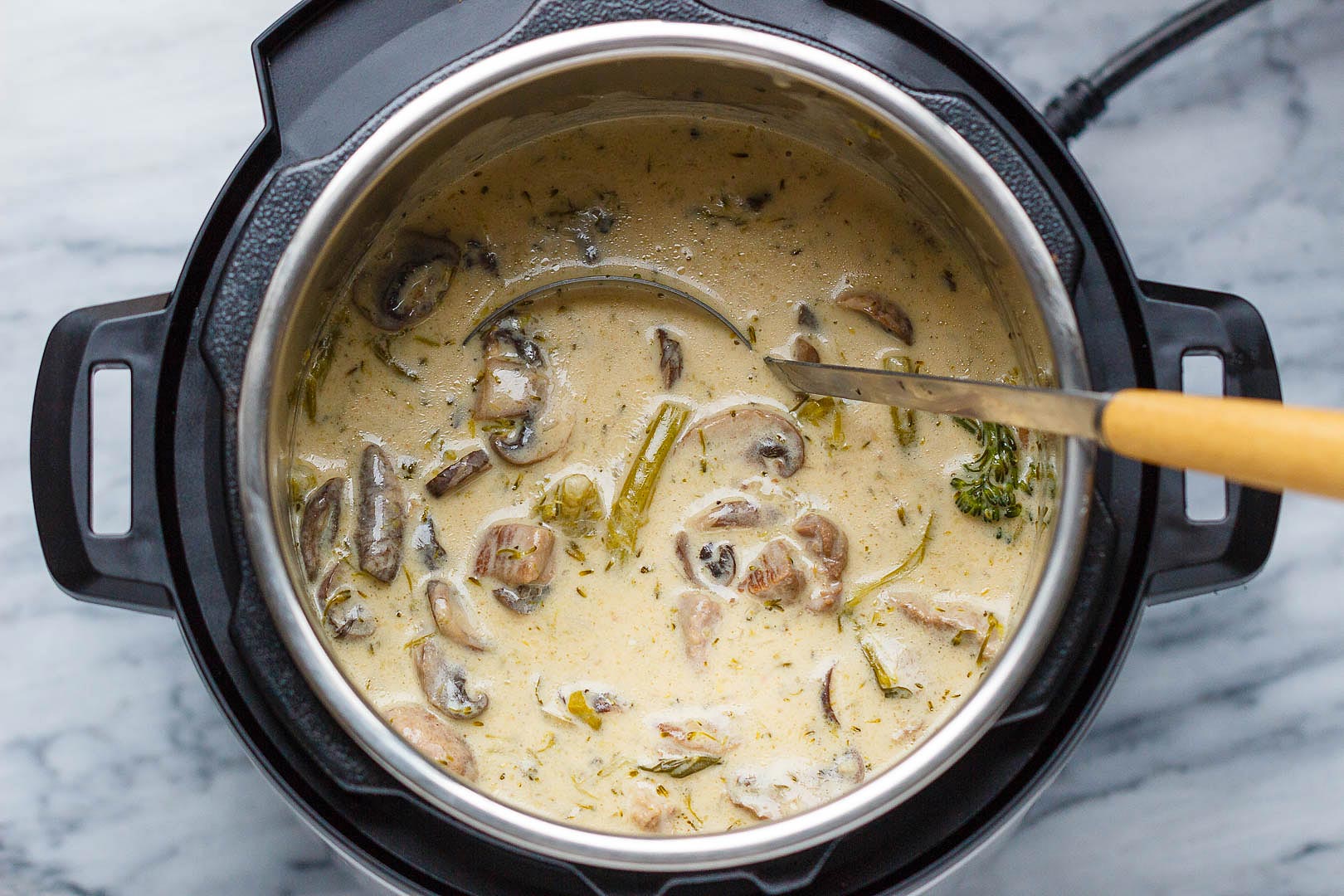 Instant Pot Creamy Beef Recipe 2