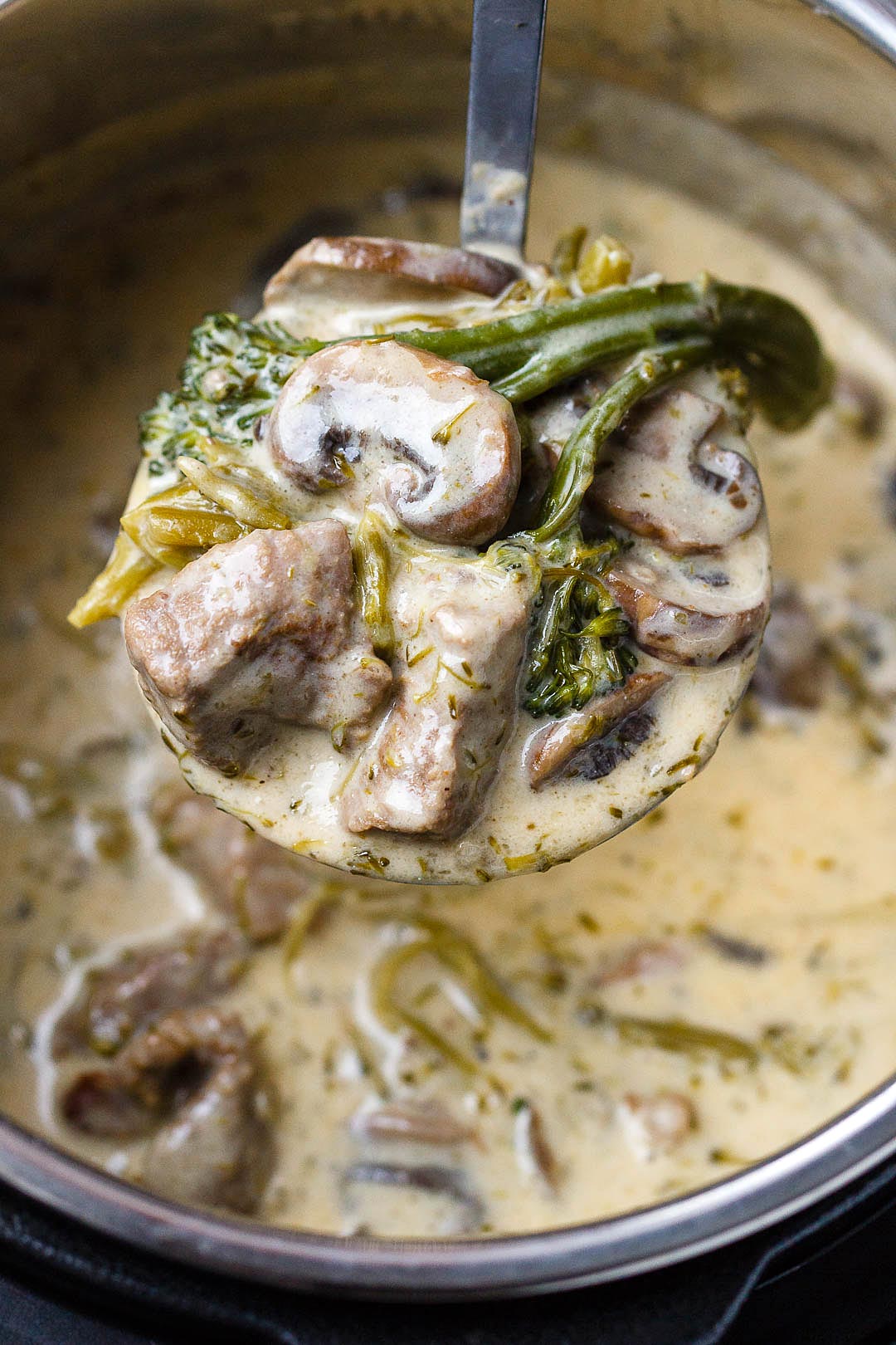 beef in instant pot 2