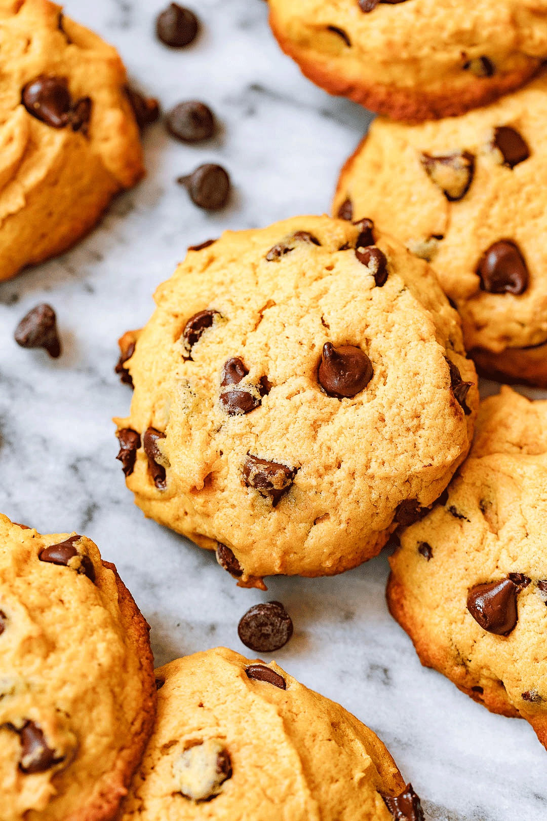 chocolate pumpkin cookie recipe 3