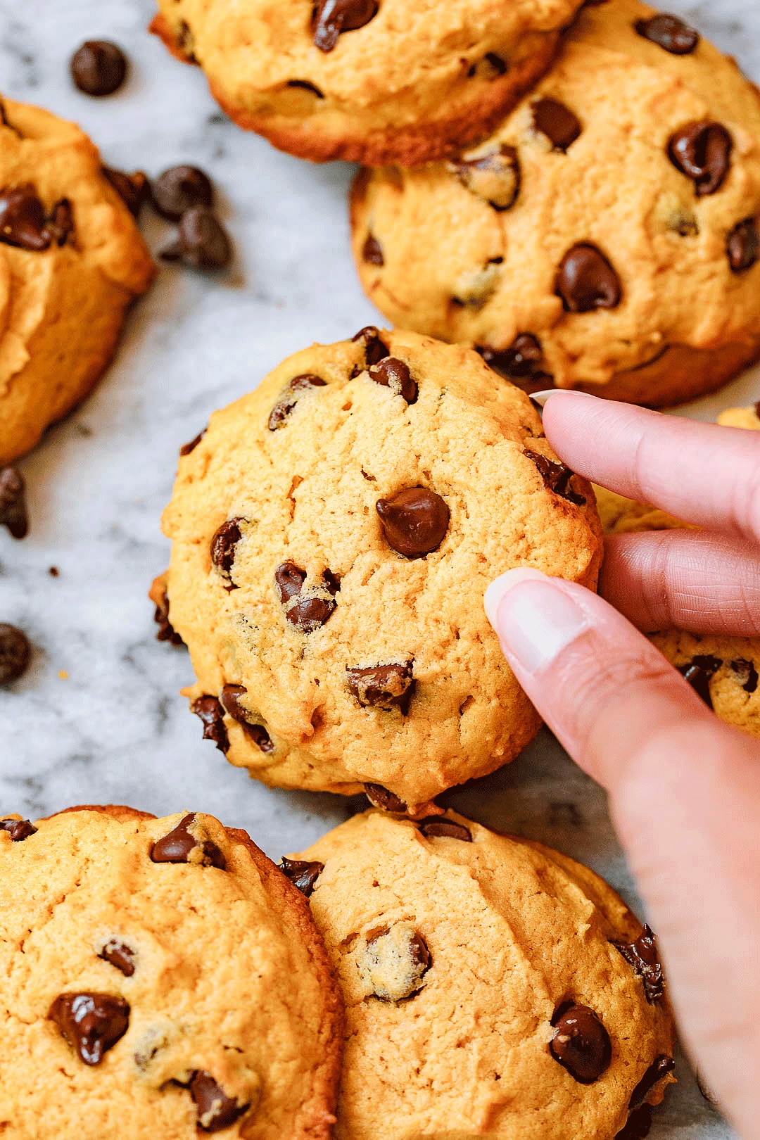 chocolate pumpkin cookie recipe 4