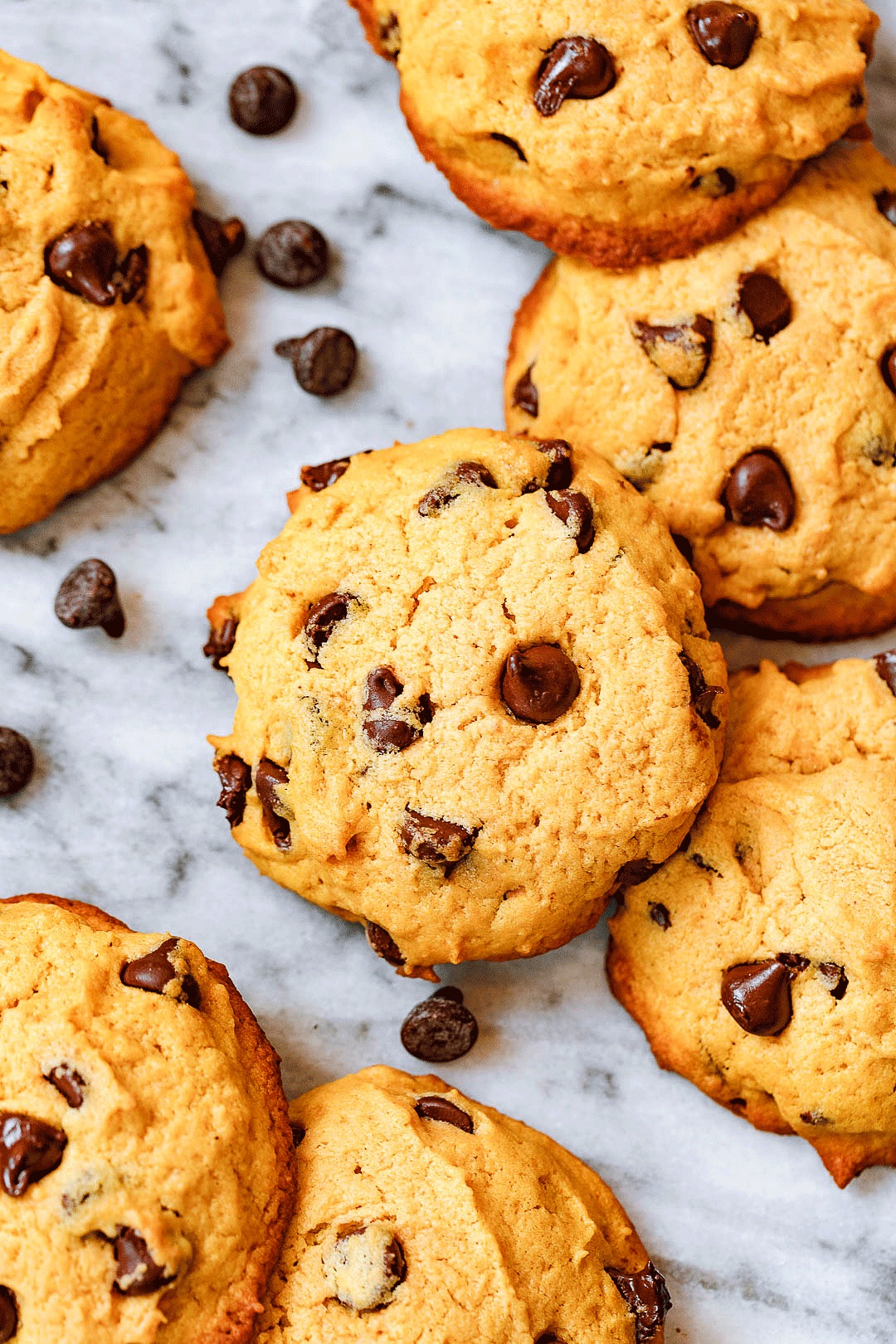 chocolate pumpkin cookie recipe 6