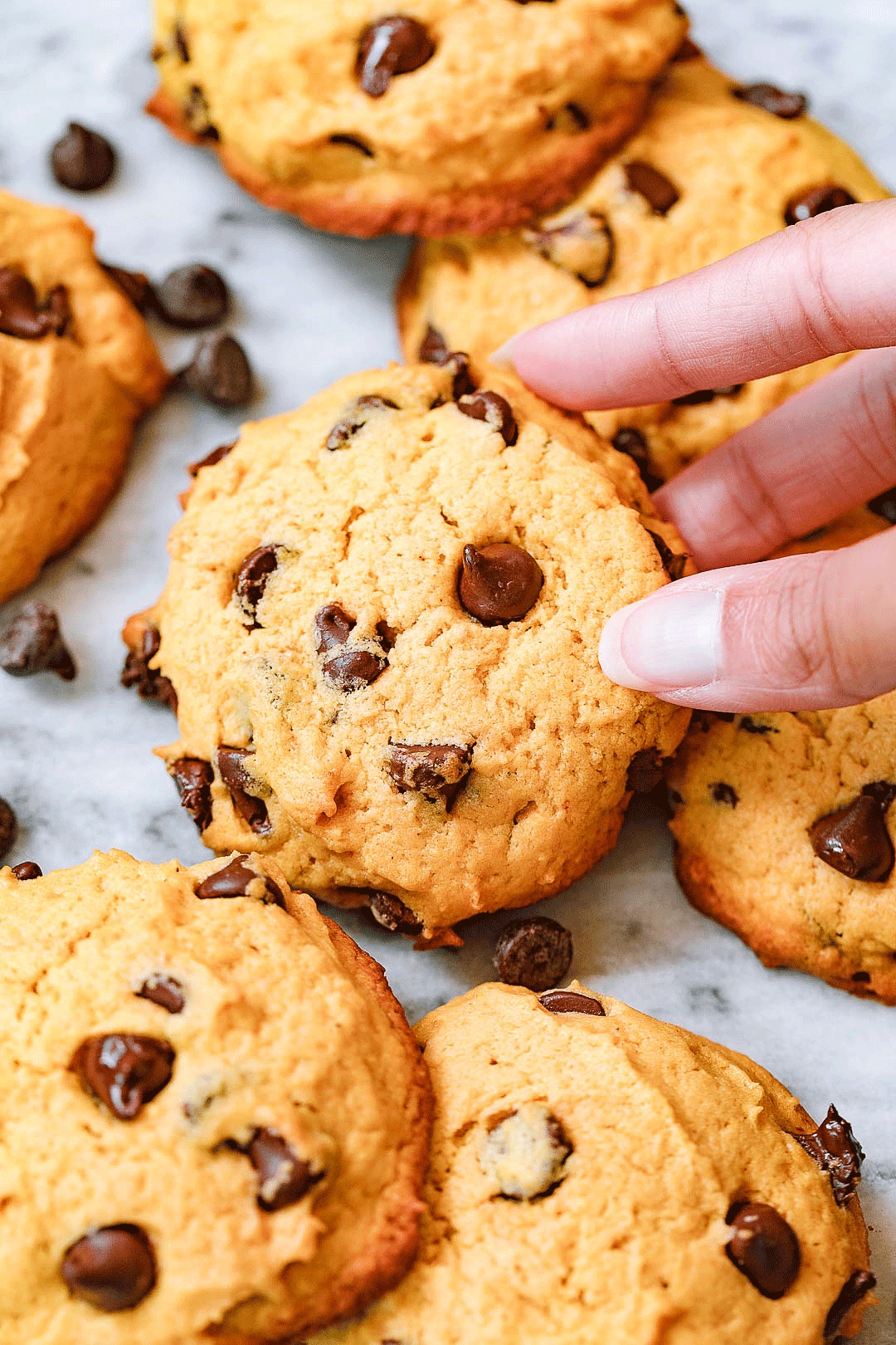 chocolate pumpkin cookie recipe recipe