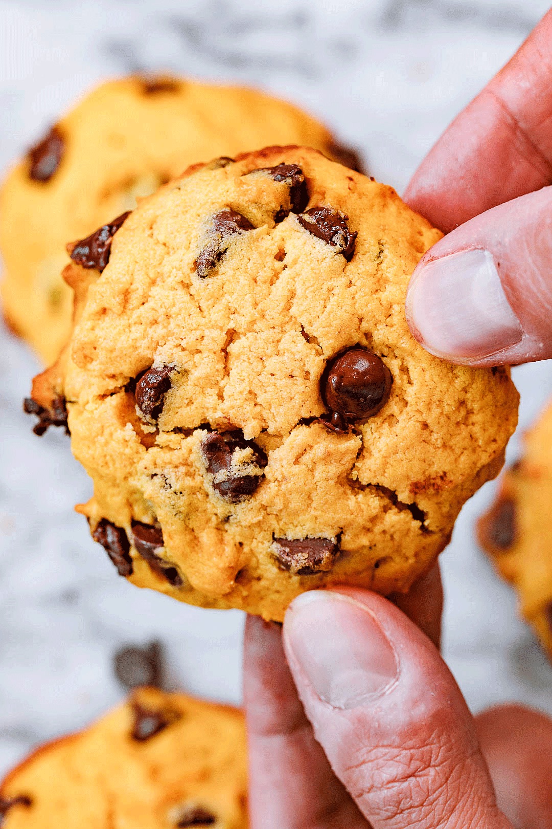 chocolate pumpkin cookie recipe