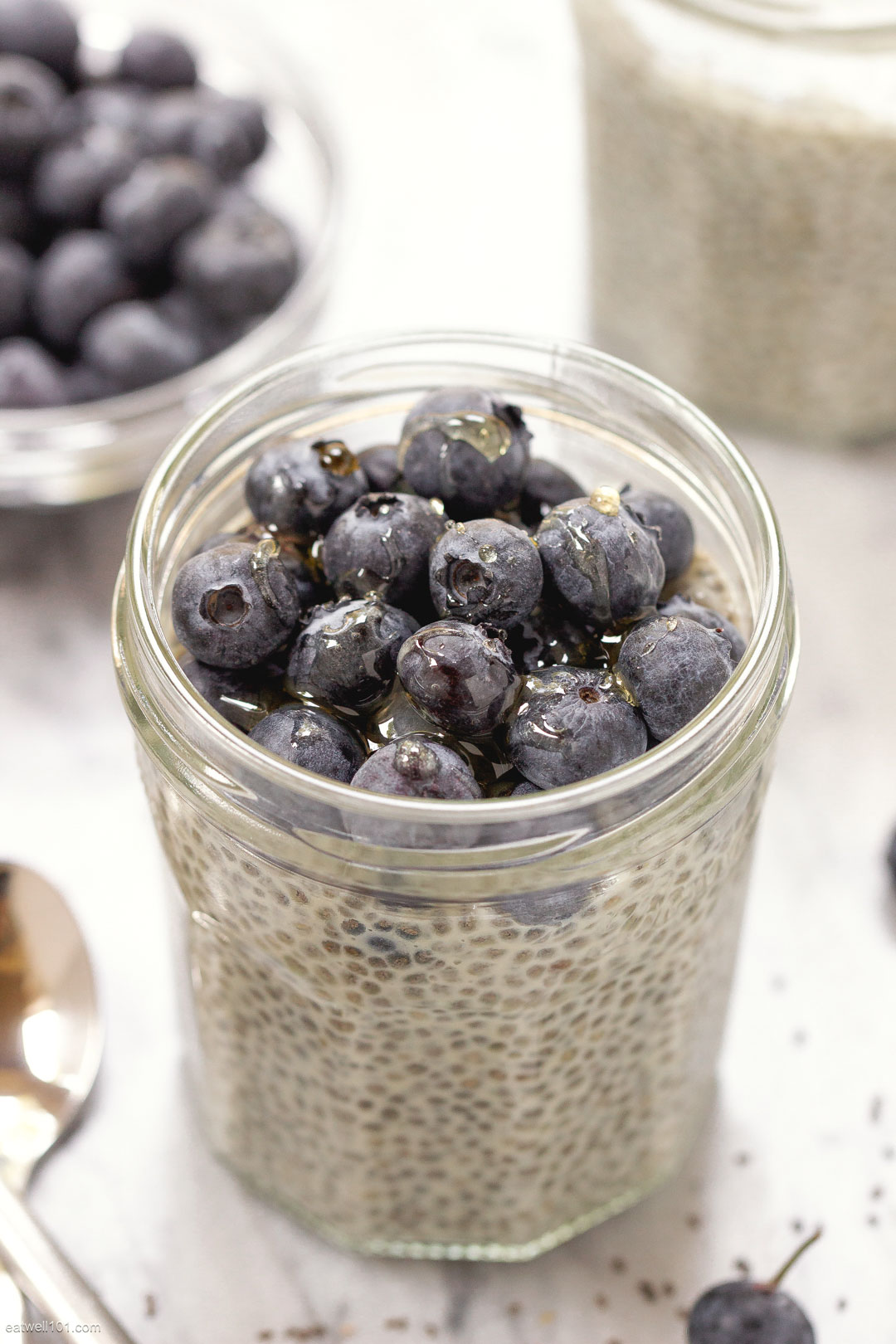 Chia seeds Pudding Recipe 3