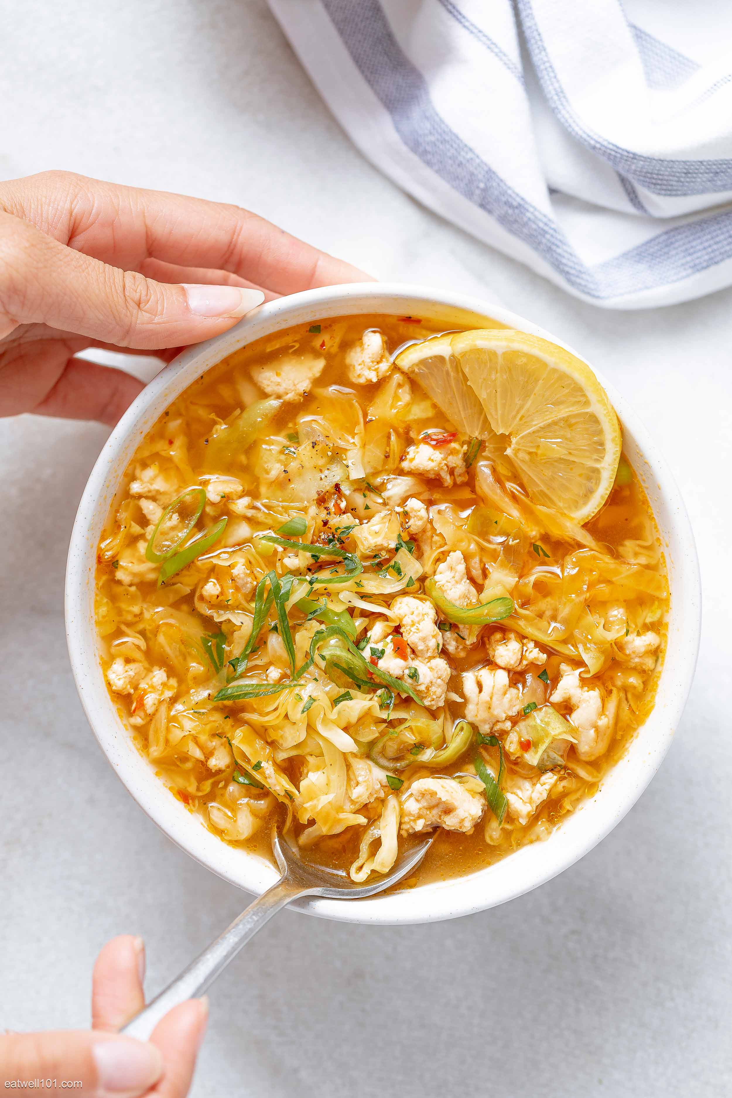 Turkey Egg Roll Soup Recipe 2