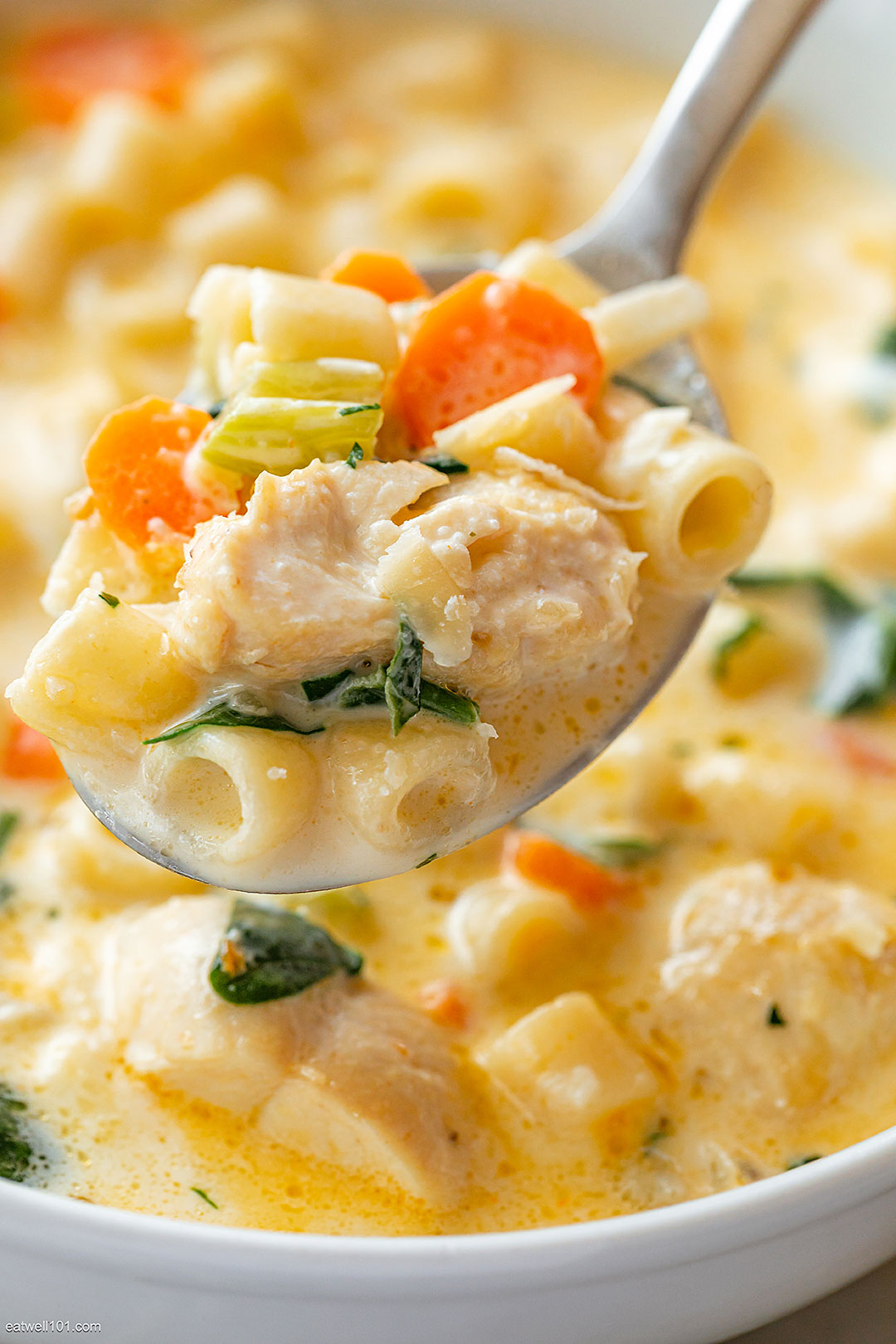 Creamy Chicken Soup with Pasta and Spinach recipe