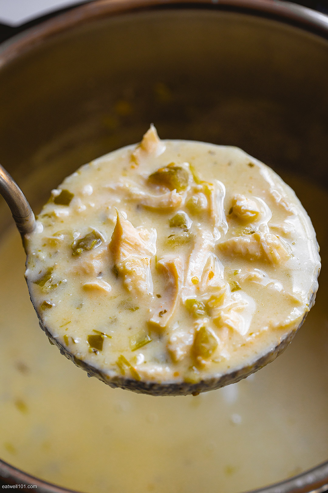 Instant pot chicken soup recipe 4