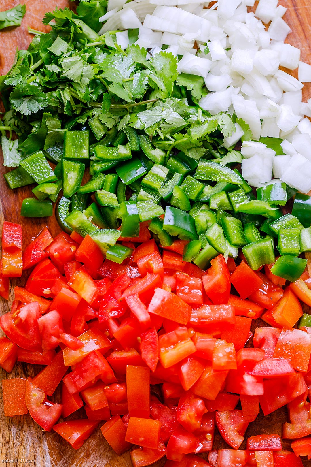 easy salsa fresca recipe
