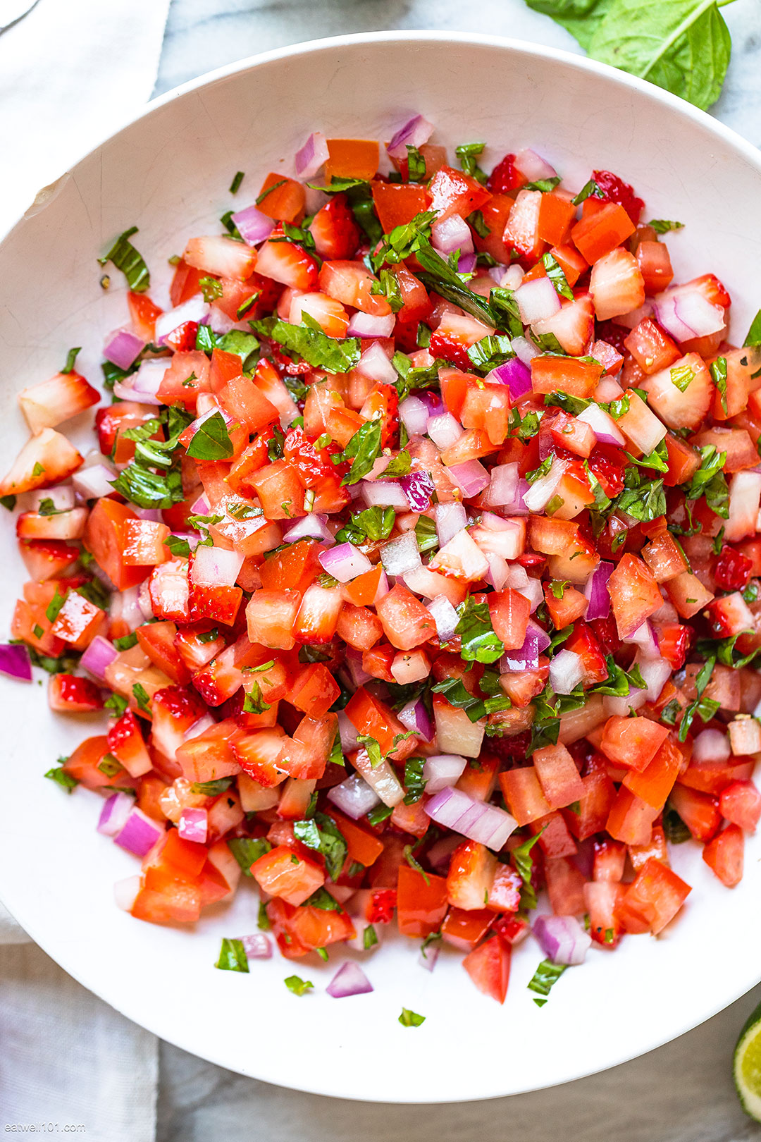 quick Salsa Recipe 1
