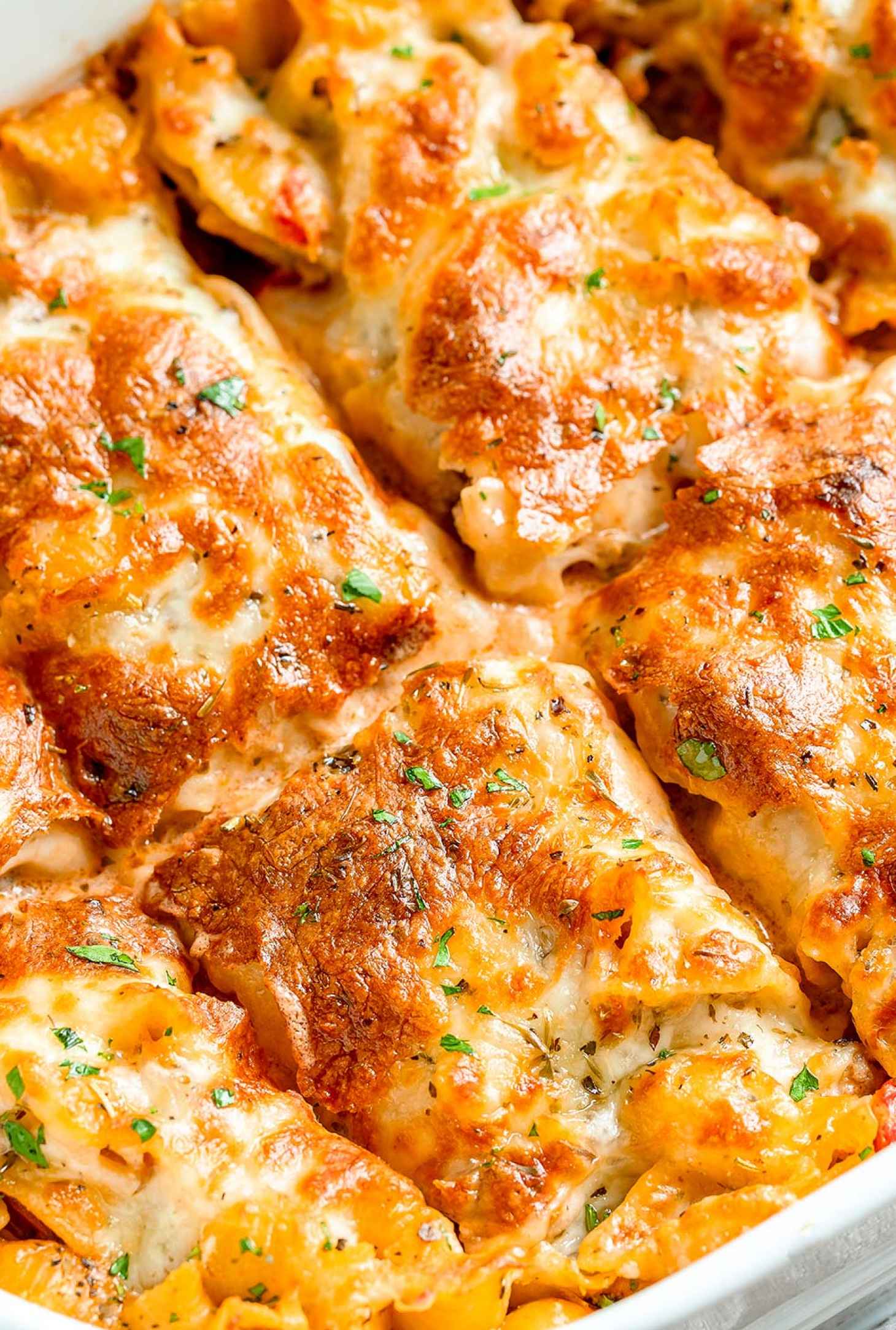 Family Dinner Recipes Ideas: 50 Easy Dinner Recipes for the Whole