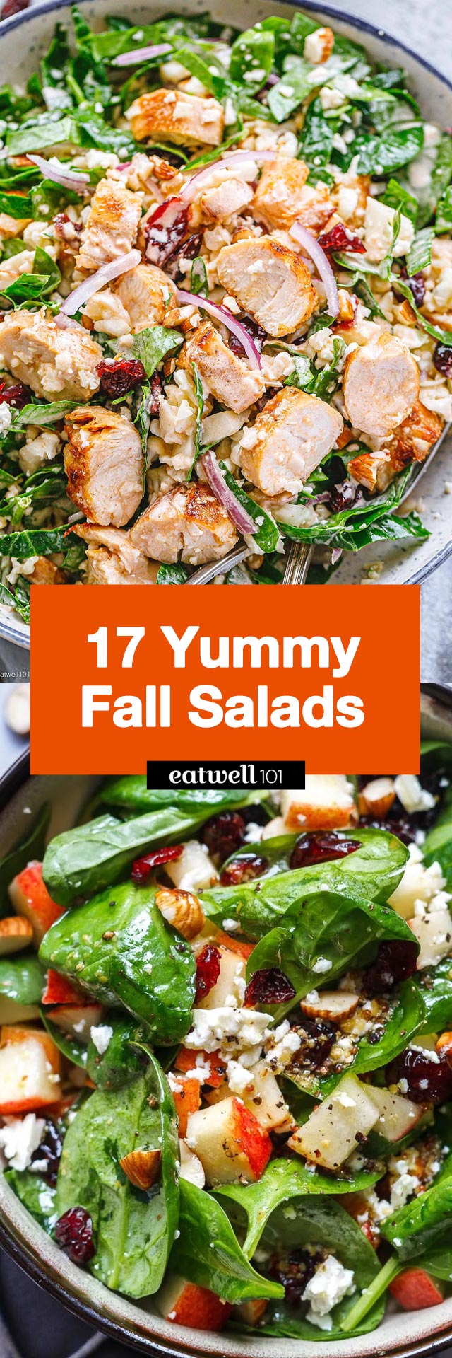 17 Yummy Fall Salads for a Lighter Lunch - #fall #salad #reicpes - These Fall salad recipes will have you happily eating your greens all season long.