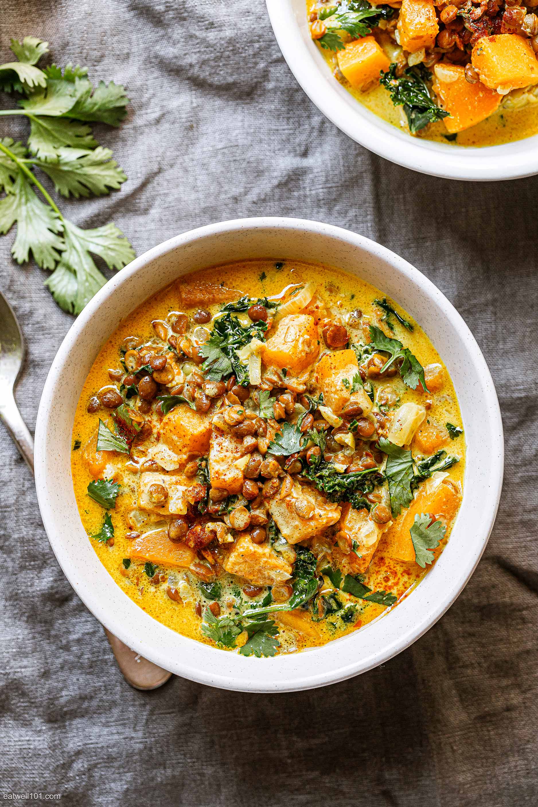 Butternut Lentil Stew Recipe – Butternut Squash Stew Recipe — Eatwell101