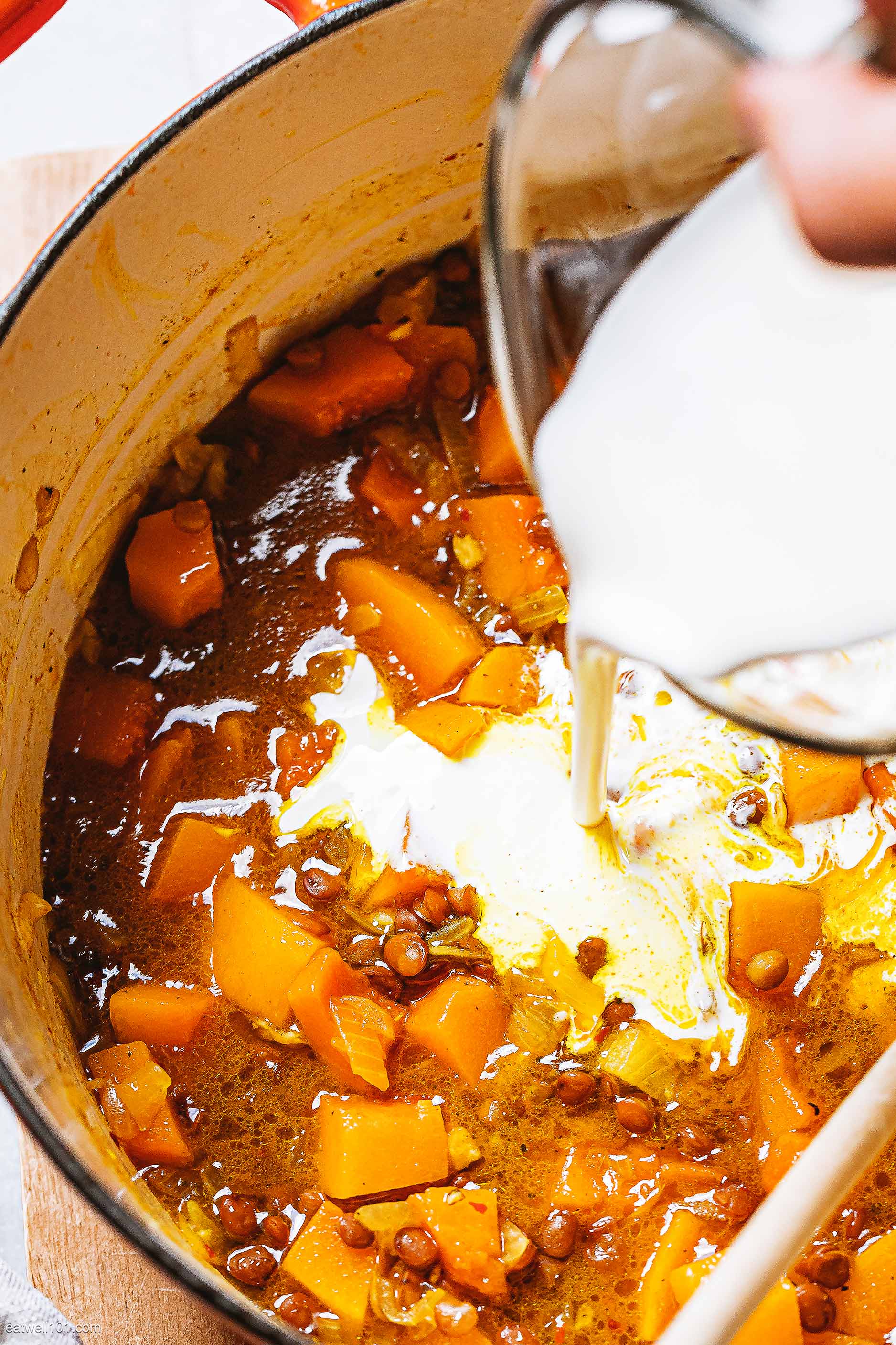 Coconut Butternut and Lentil Stew Recipe 5