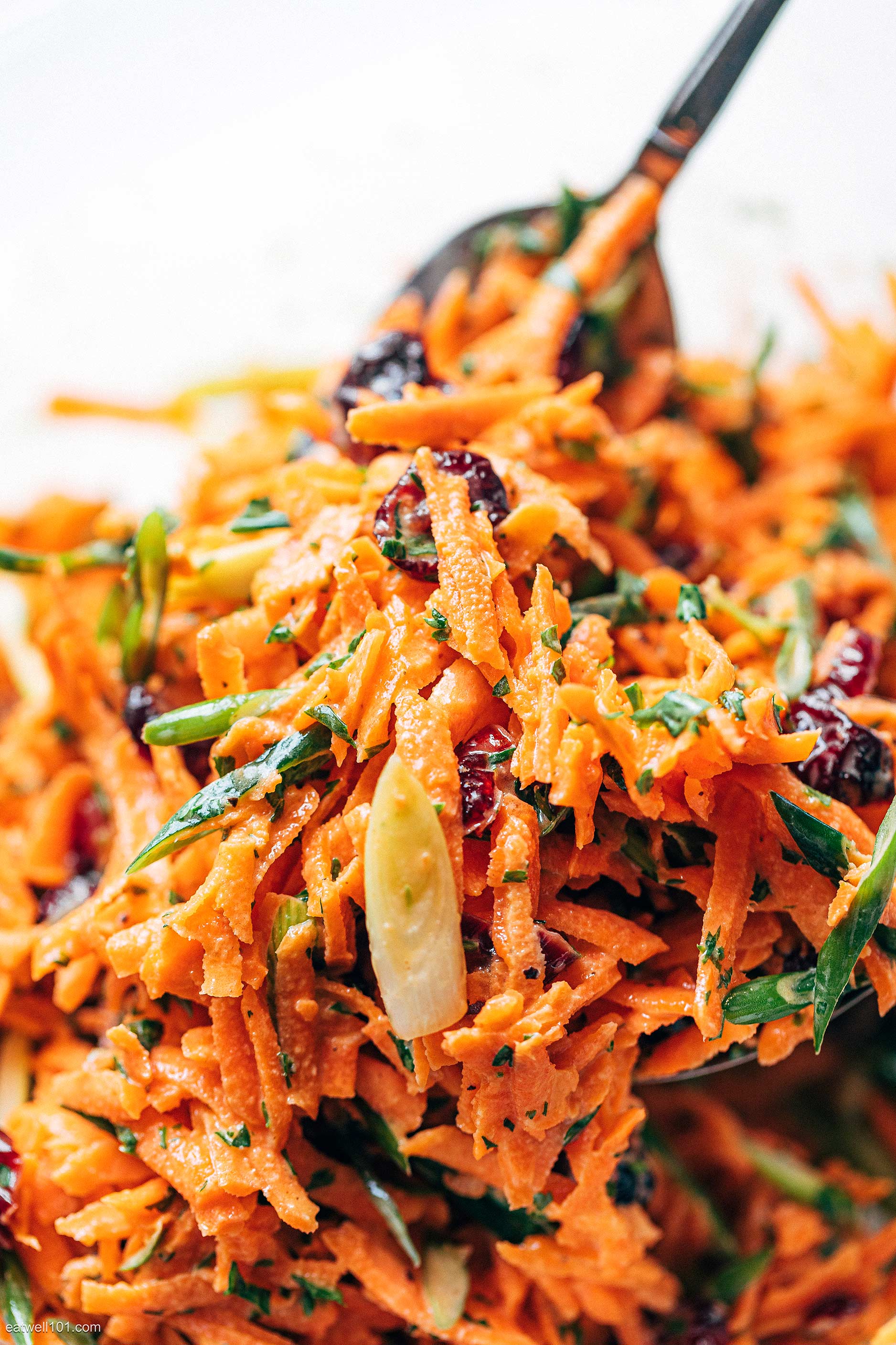 Shredded Carrot Salad Recipe with Honey Mustard Dressing