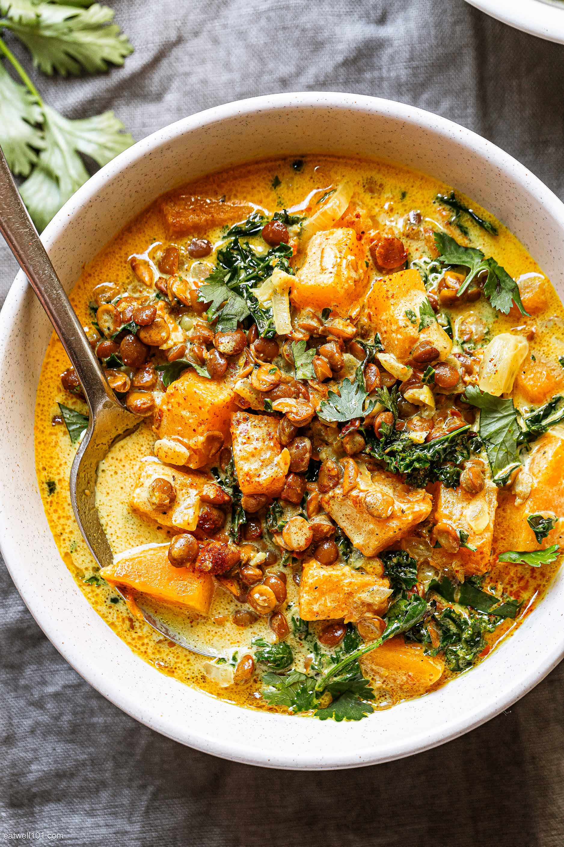 Butternut Lentil Stew Recipe – Butternut Squash Stew Recipe — Eatwell101