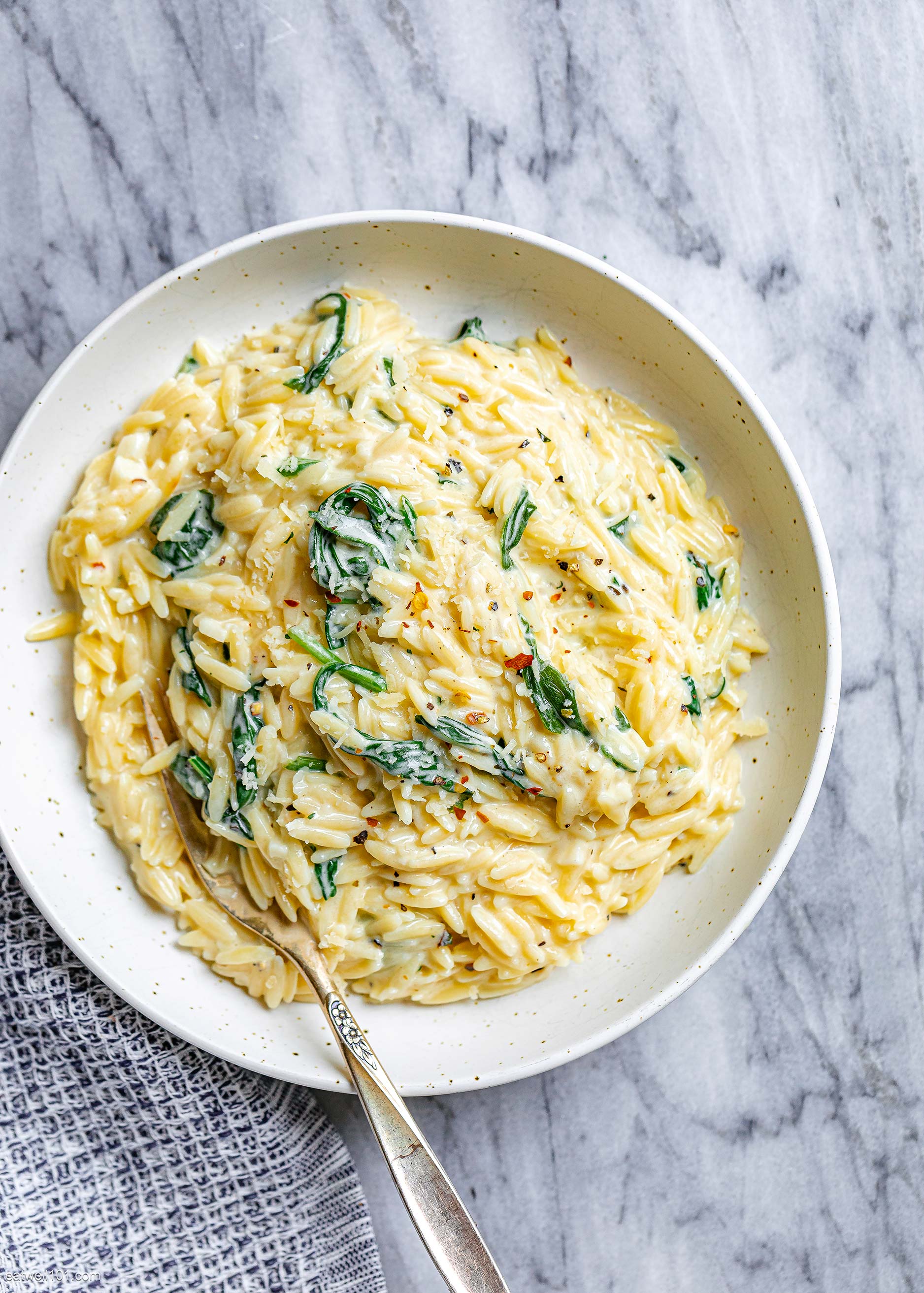 Creamy Orzo Pasta Recipe