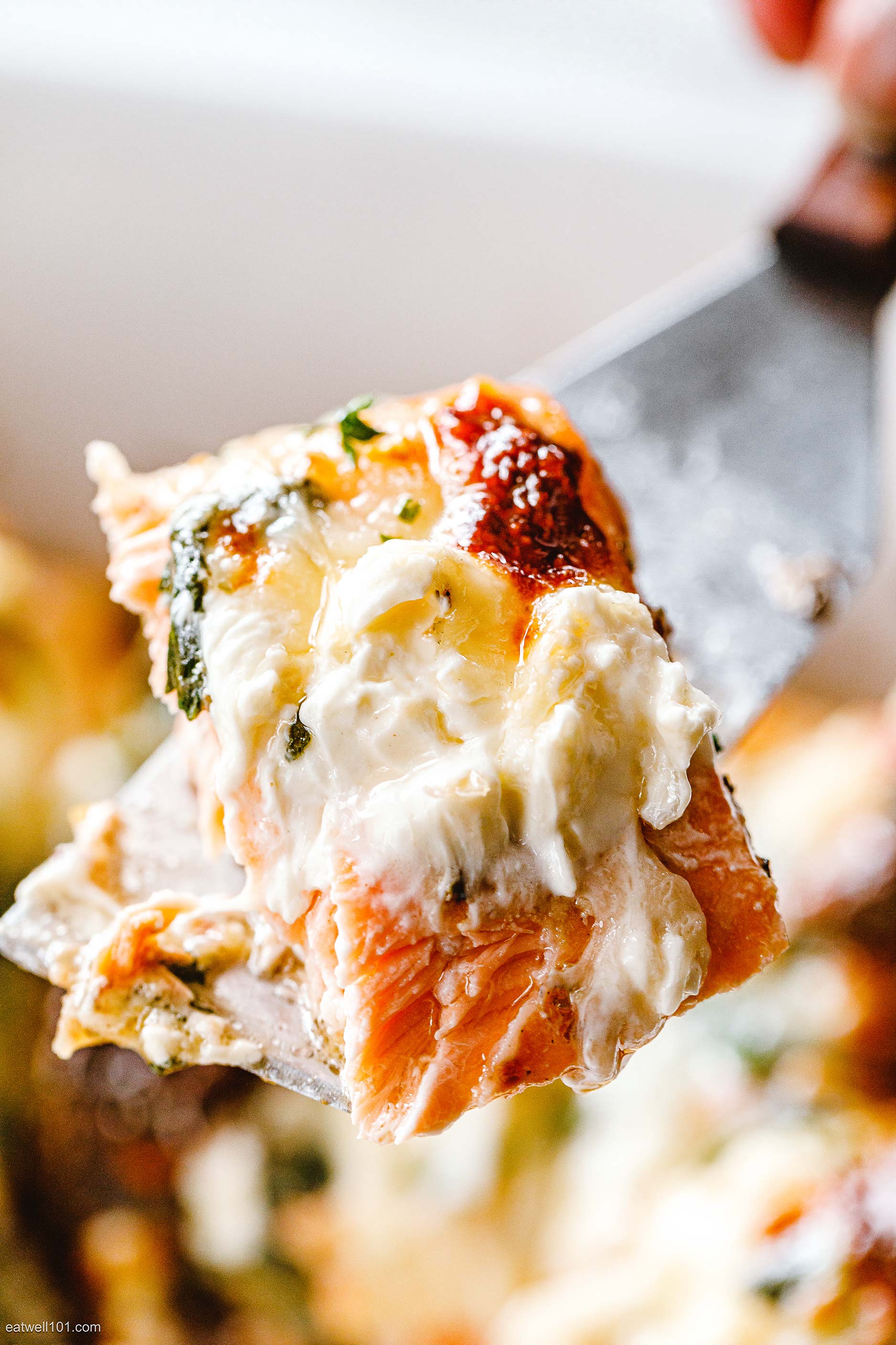 Spinach Salmon Casserole reicpe 1