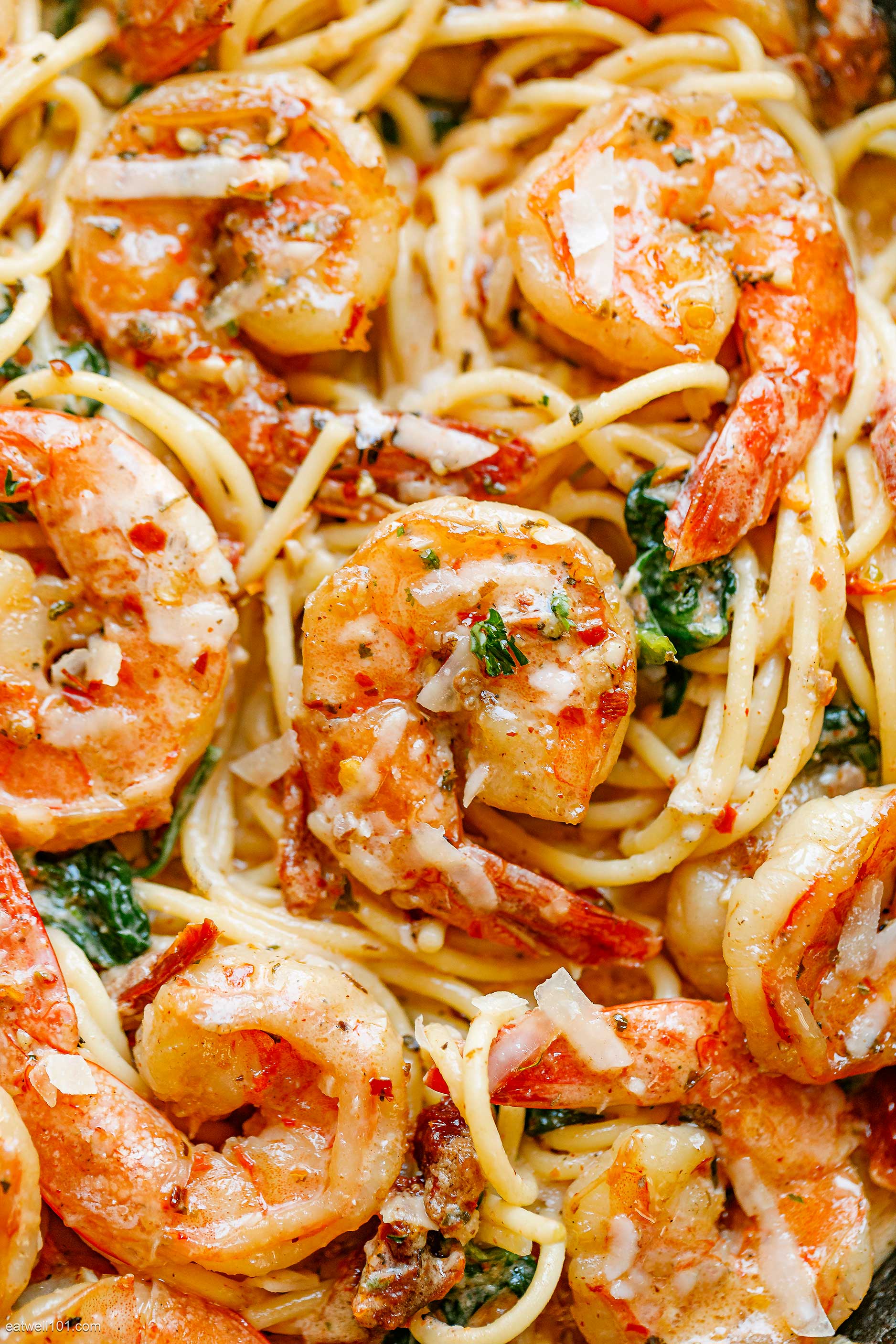 Creamy Shrimp Pasta With Mozzarella Sauce, 45% OFF