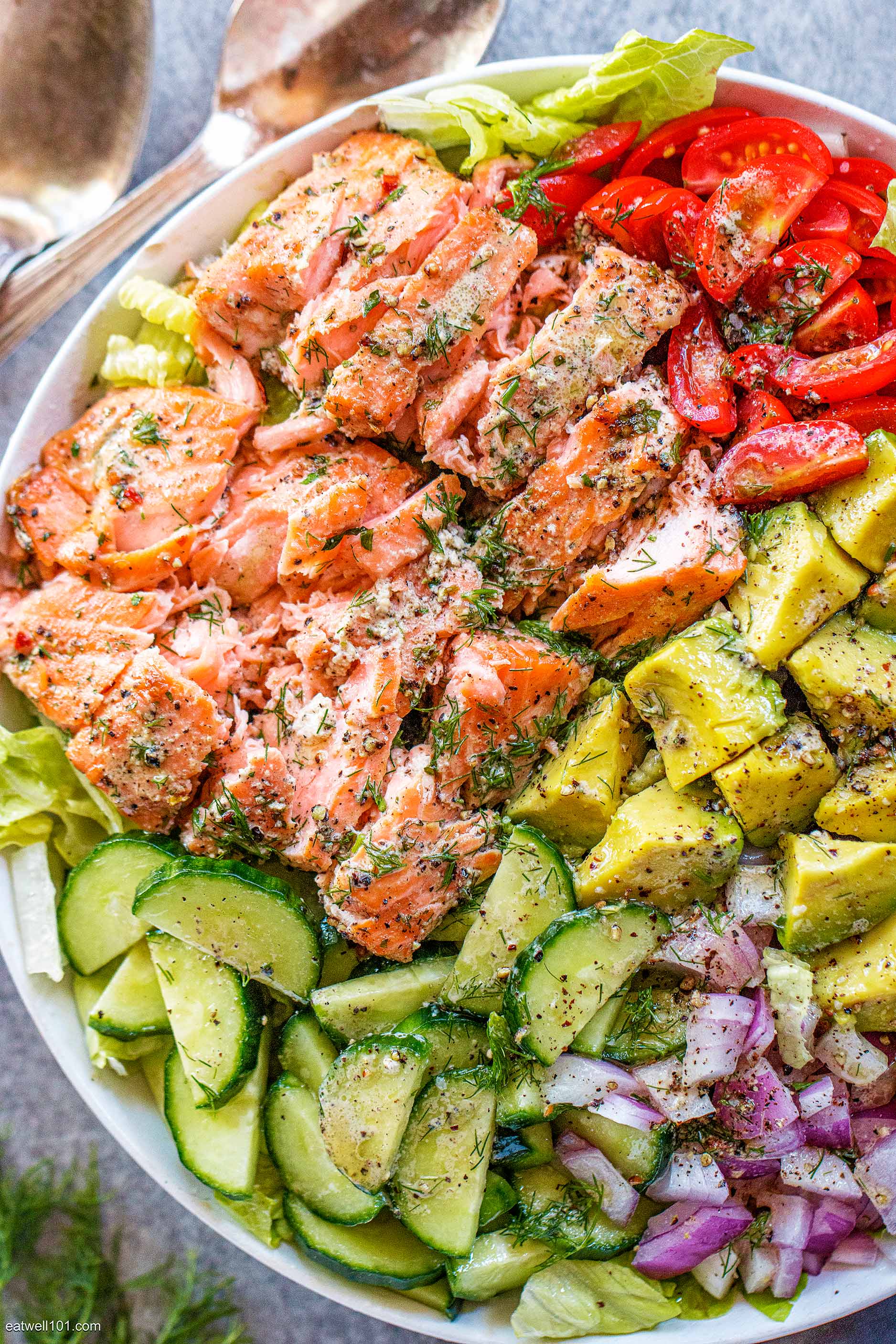salmon recipes