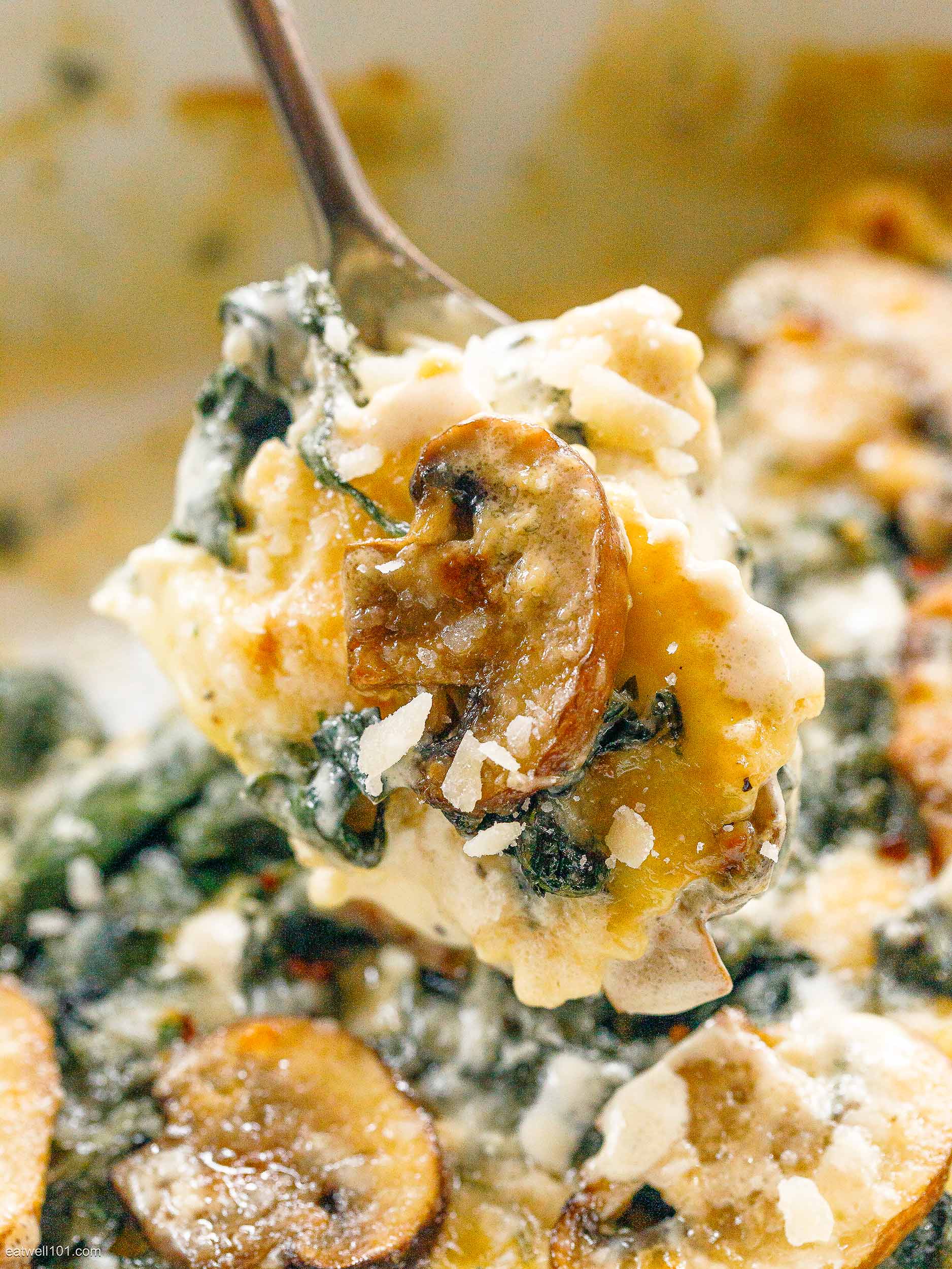 pasta casserole recipe 1